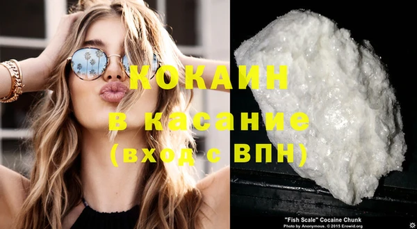 крисы Краснослободск