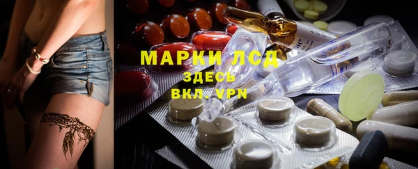 крисы Краснослободск