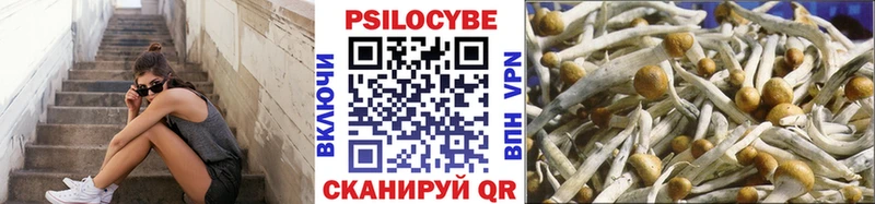 Псилоцибиновые грибы ЛСД  Игра 