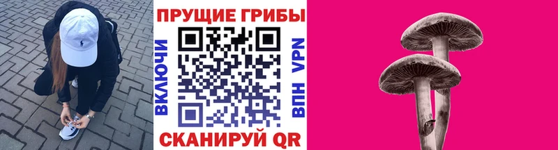 Галлюциногенные грибы ЛСД Игра